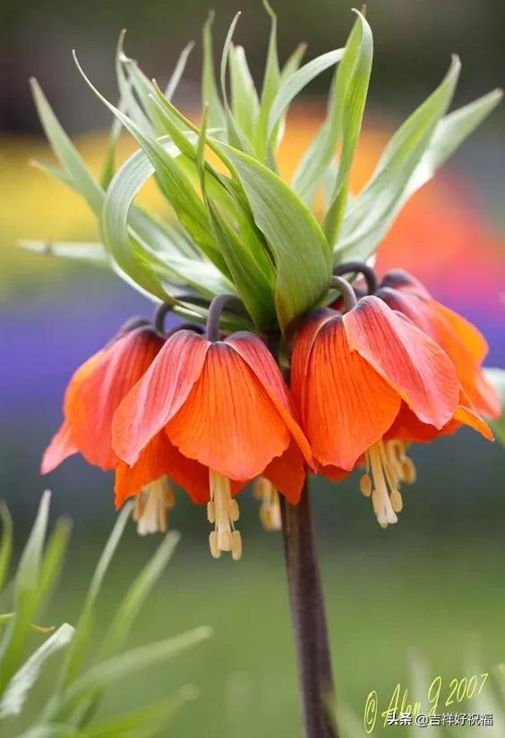 送给群友的美图,最新群相册大全