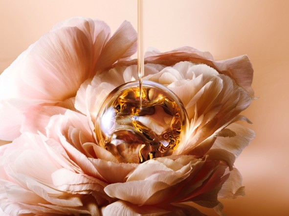 全新兰蔻菁纯精华适合油皮吗,全新兰蔻菁纯眼霜革新升级