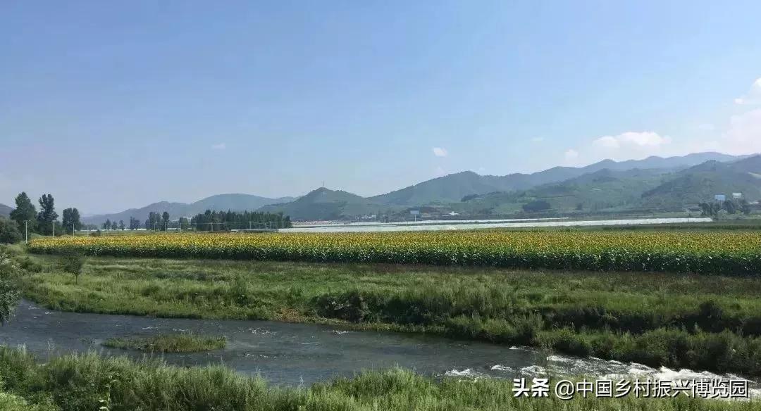 井陉人做了什么,井陉优秀人物