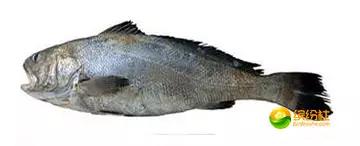 舟山4月份海鲜攻略,舟山海鲜代加工攻略