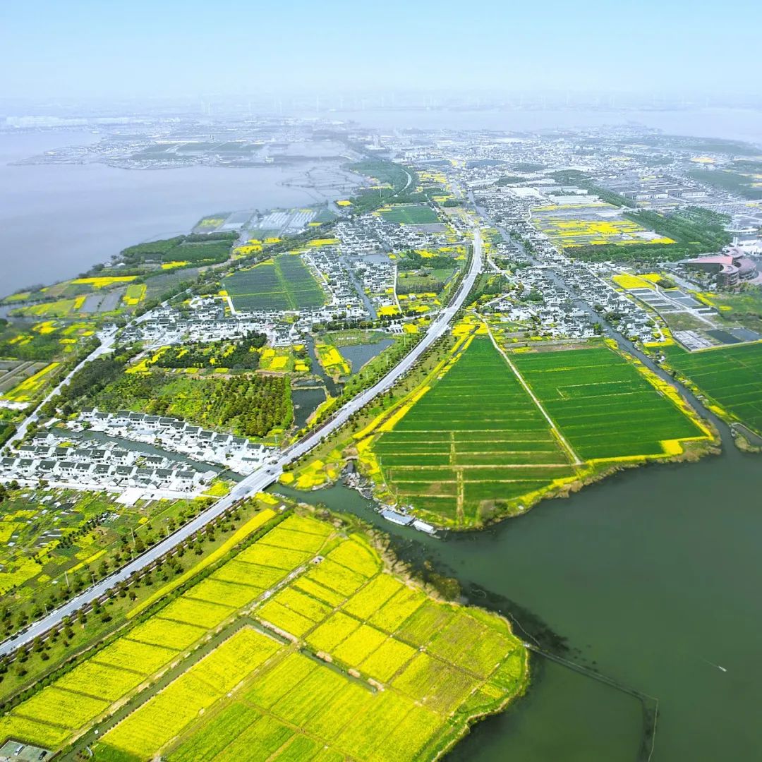 苏州精致生活,苏州人的精致都在一碗面里