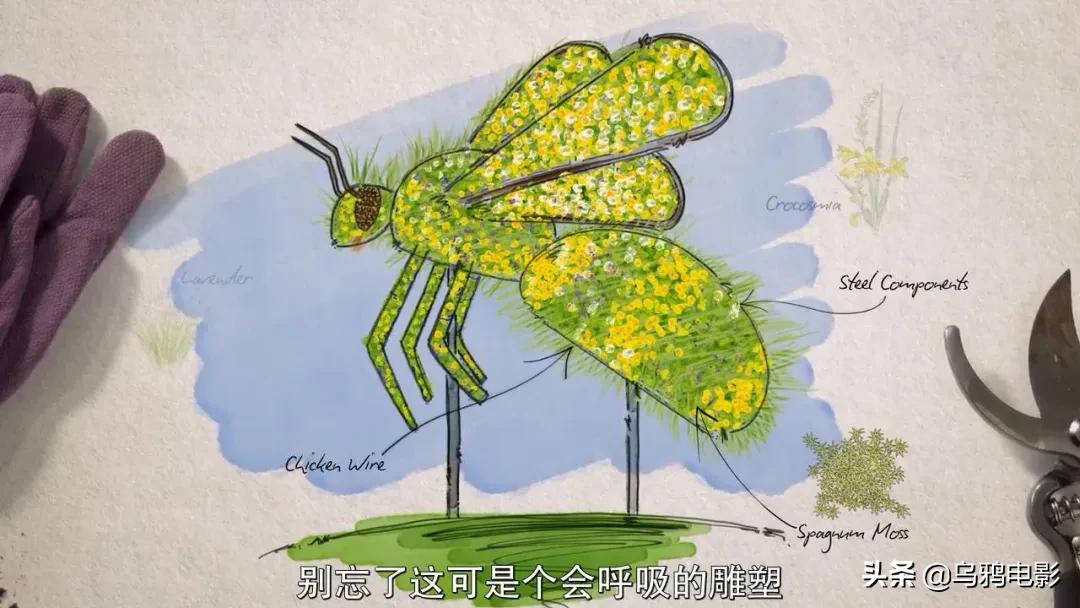 这也能拍出花?网飞又开挂了,每集都让我惊掉下巴