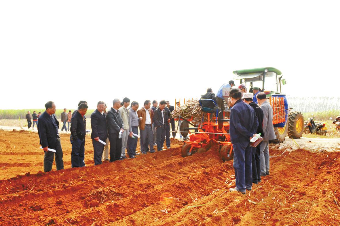 靠“养牛”发财？这2年，农村养牛成风，真赚钱吗？看完了解了