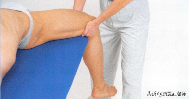 臀部肌群解剖,臀部肌功能解剖