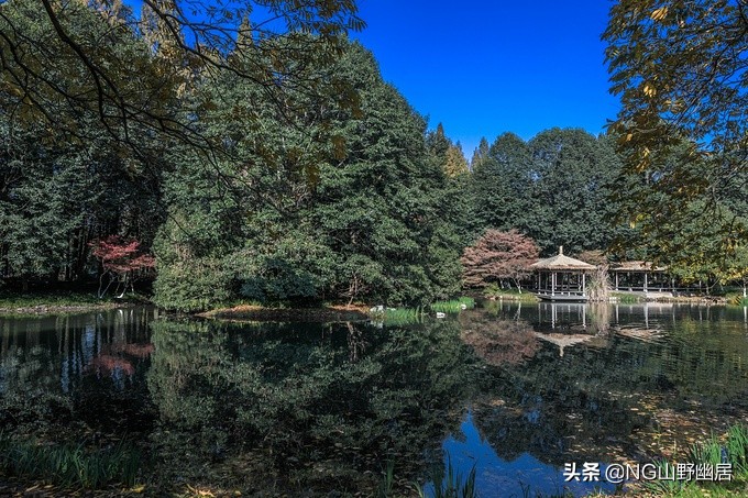 肺炎恢复期能出去旅游吗,肺炎痊愈几天可以外出旅行