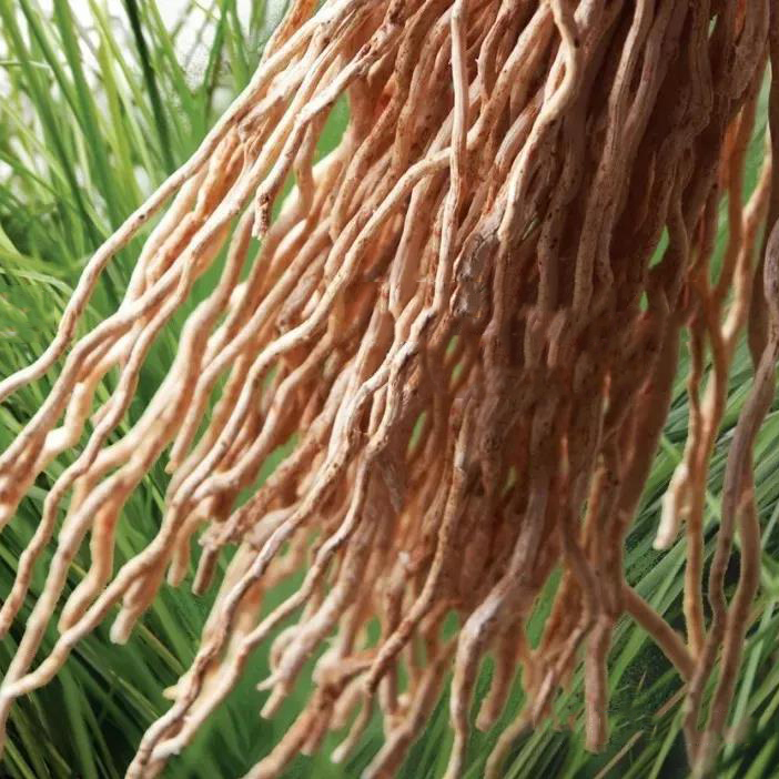 精油一般保质期多长时间,精油的有效期限是多久