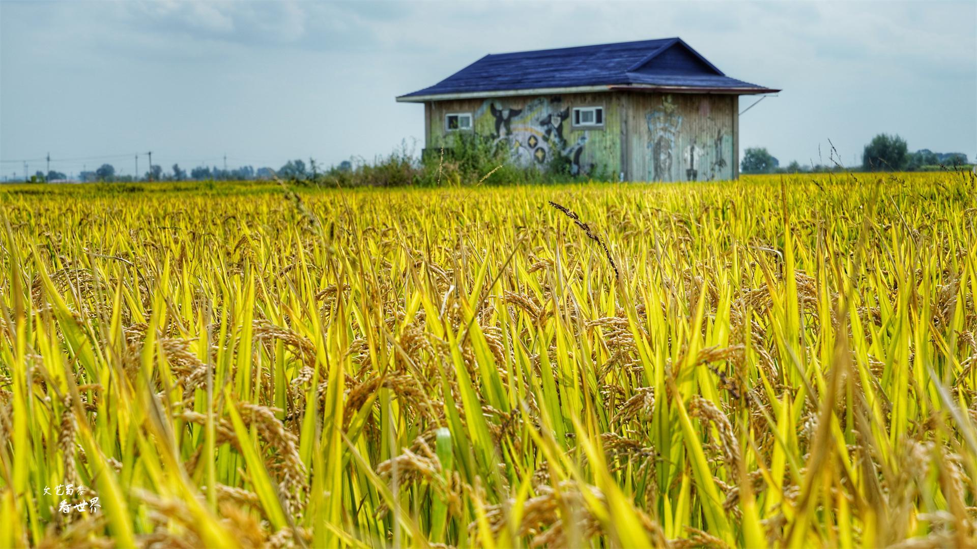 沈阳稻梦空间在哪个位置,沈阳市稻梦空间门票