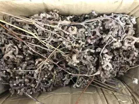 解酒小妙招过年了千万别用上,喝酒应酬应该常备的药