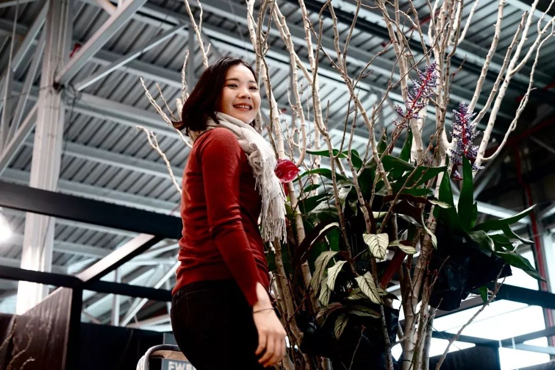 算命说上辈子是花童是什么意思,上辈子是花童是什么意思