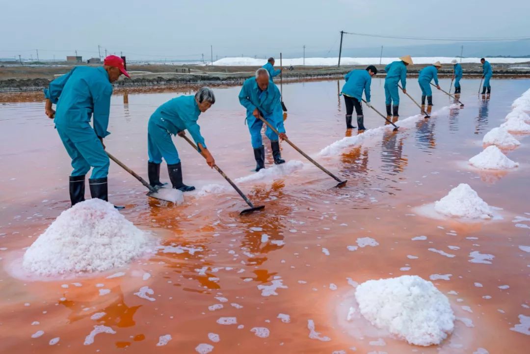 被中国人吃到濒临灭绝的食物,被中国人吃了千年不灭绝的食物