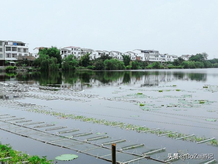 自驾广西有哪些好玩的,自驾游从广西出发去哪比较好玩
