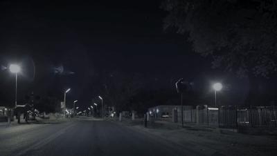 豆瓣netflix电影,bbc地球奇观纪录片