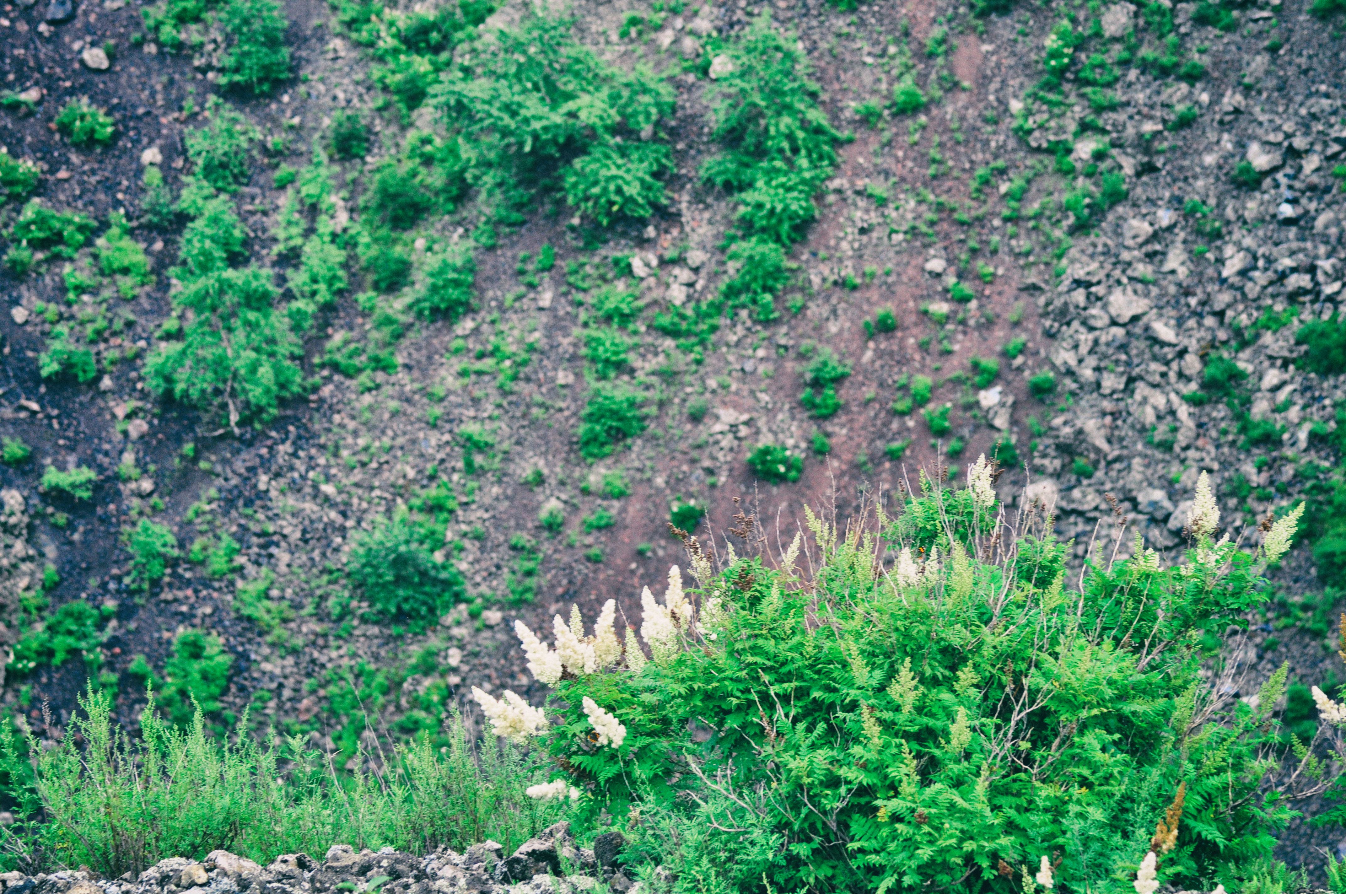 一次特别的东北旅行,历时18天的东北边境行