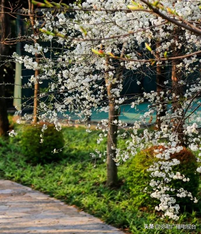 弥勒美食推荐离湖泉景区最近,弥勒五彩云池风景区