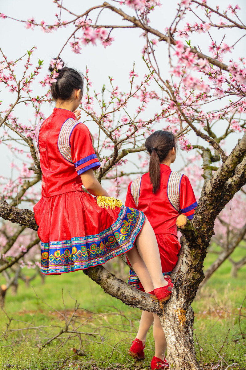 桃花林里的美女,桃花林中的美女
