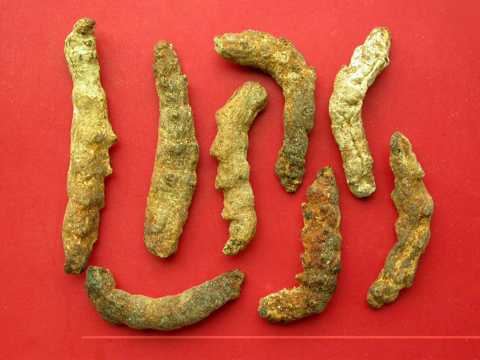 国医大师薛伯寿讲座,薛伯寿的宣透解毒饮