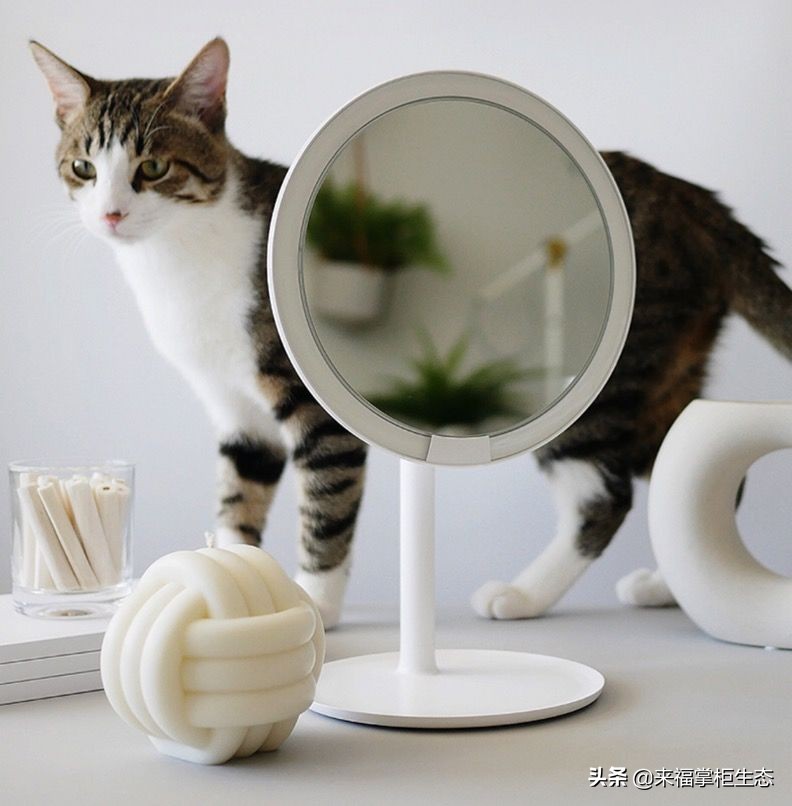 月黑风高倾国倾城,月黑风高日光明媚