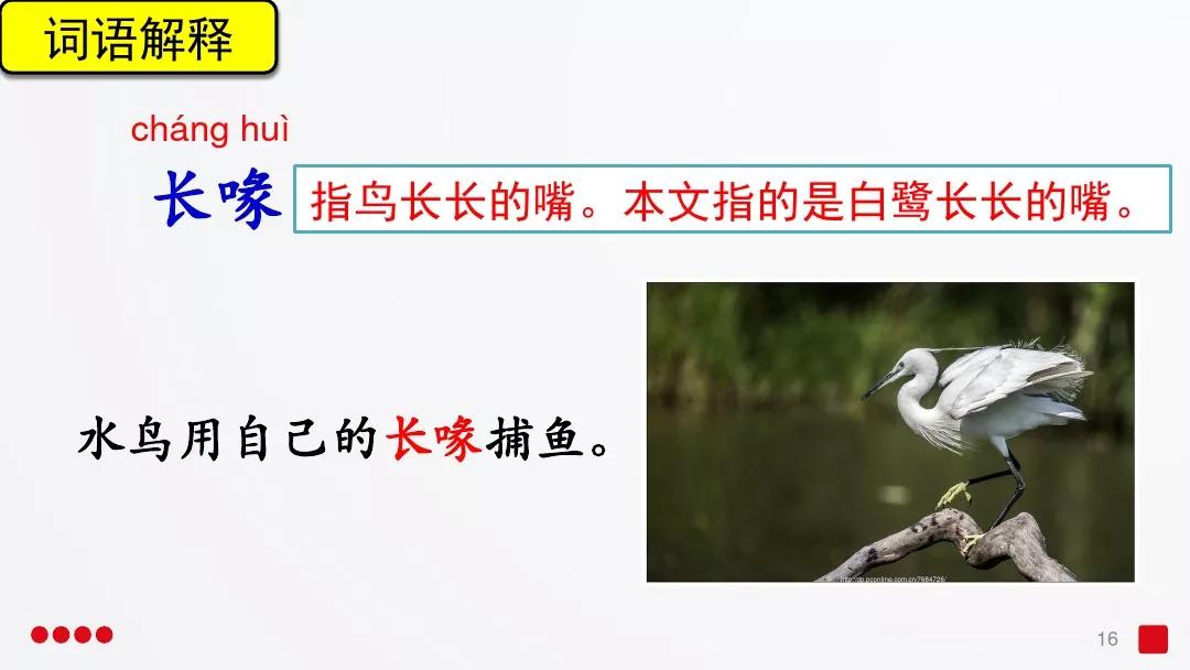 五年级部编版语文白鹭讲课视频,部编小学语文五年级上册白鹭课件