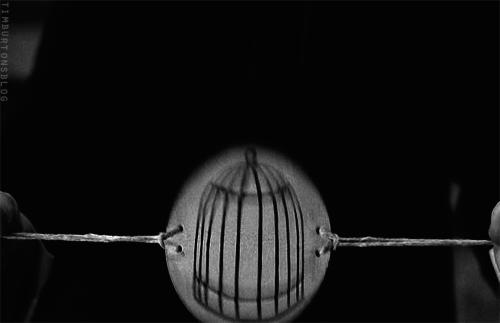 视觉暂留科技展品,视觉暂留原理电影片段