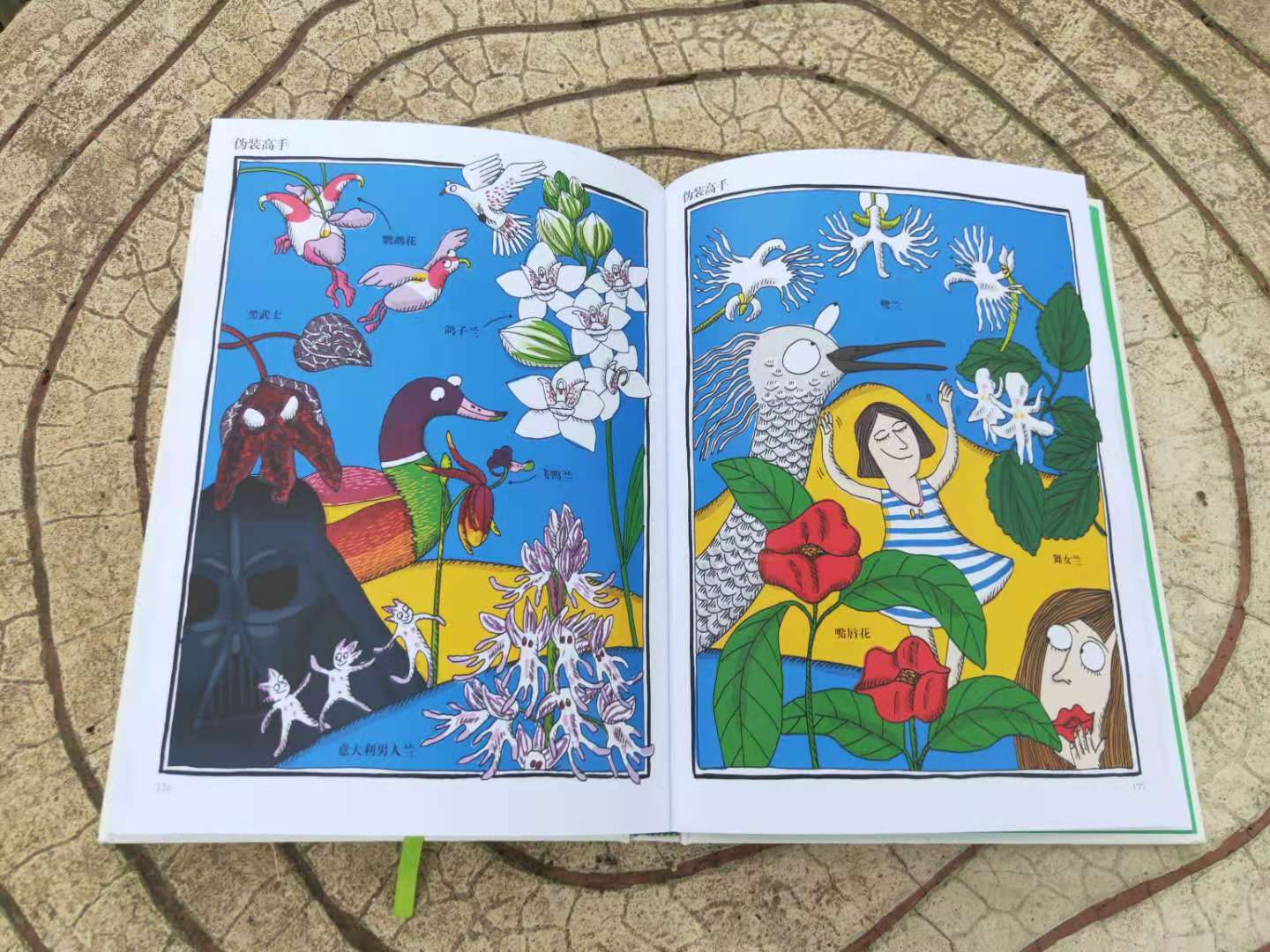 哪些植物有自己的小秘密,植物的朋友圈绘本视频