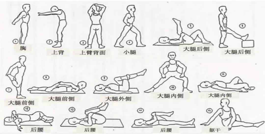 运动损伤的治疗与康复知识点,运动损伤的诊治