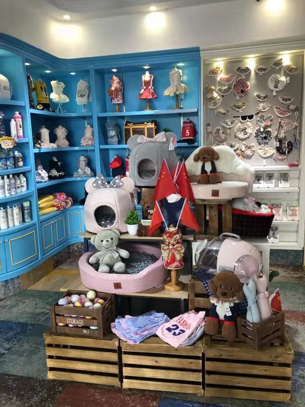 开宠物店成都哪里最好卖,成都最大宠物连锁店