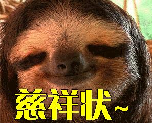 非洲野狗作战能力超过“掏肛”的鬣狗,对外凶狠,对内温馨有爱