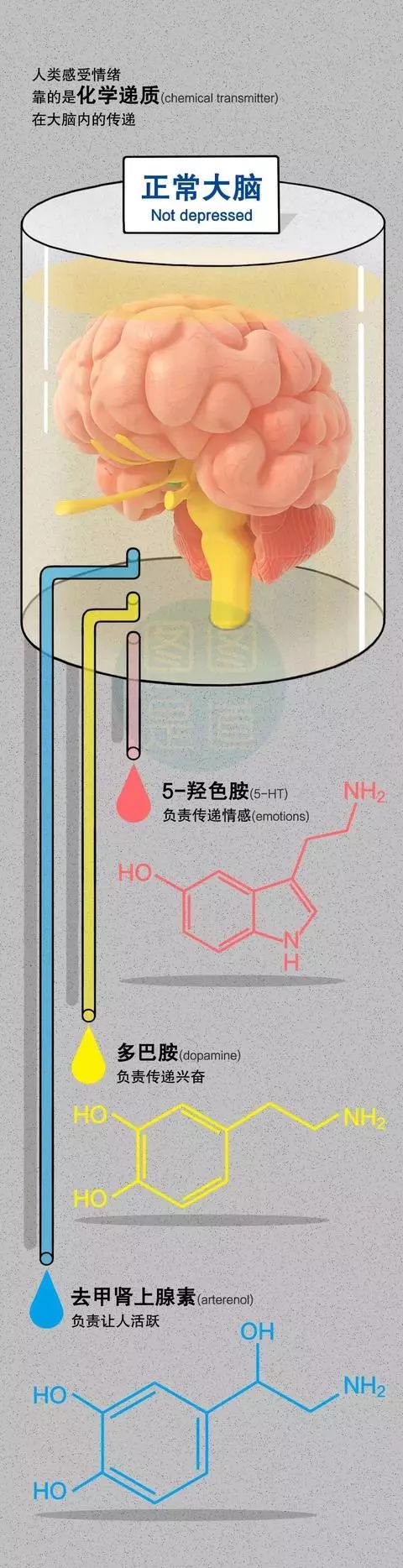 中学生抑郁症怎么自愈最快最有效,抑郁症能自我痊愈吗