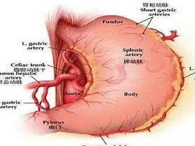 胃窦炎的症状都有哪些,胃窦炎严重的症状有哪些