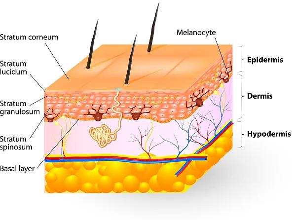 辟谣、吃酱油加深痘印?芦荟胶治好痘坑?别傻了!