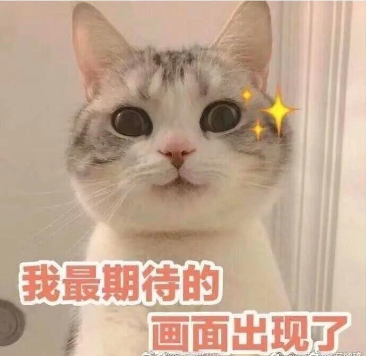 气象预测可视化,气象数据实时预测