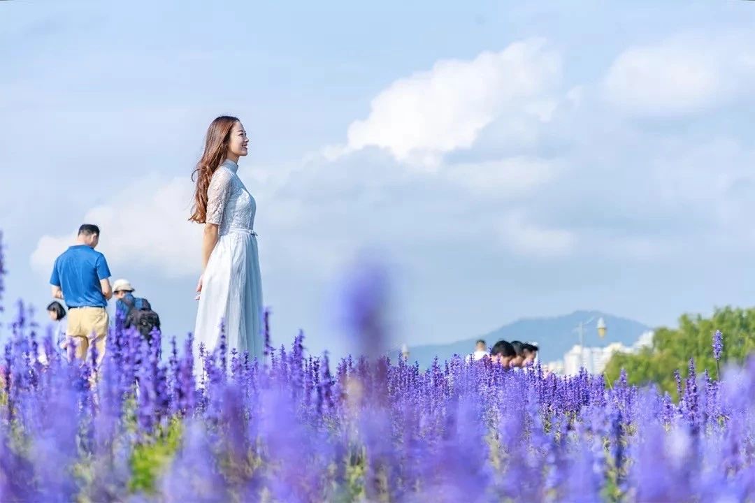 深圳游玩好去处攻略,深圳7个自驾游免费好去处推荐