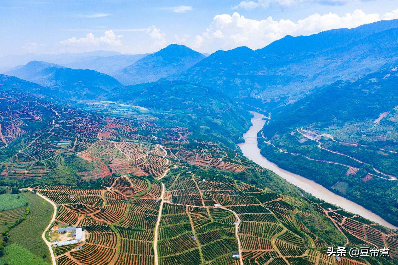 它140年前被洋人拿走，多年后卖到中国，却已成为“贵族水果”