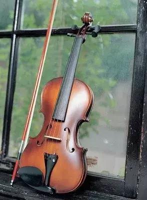 初学者学小提琴的真实现状,小提琴知识普及