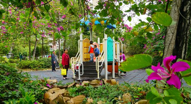 获评文明村简报,2017年度广东文明村