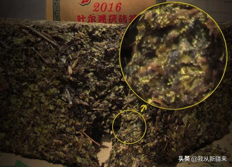 新疆喝的砖茶是什么茶种,现在的砖茶为什么没有以前的好喝
