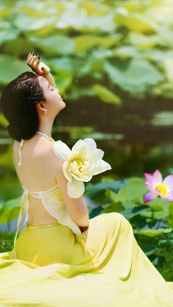 出淤泥而不染荷花之美,如果你是一朵出淤泥而不染的荷花