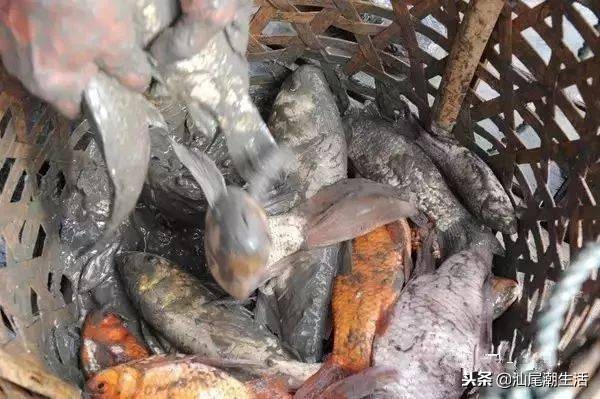 汕尾陆河农村,广东汕尾陆河新农村