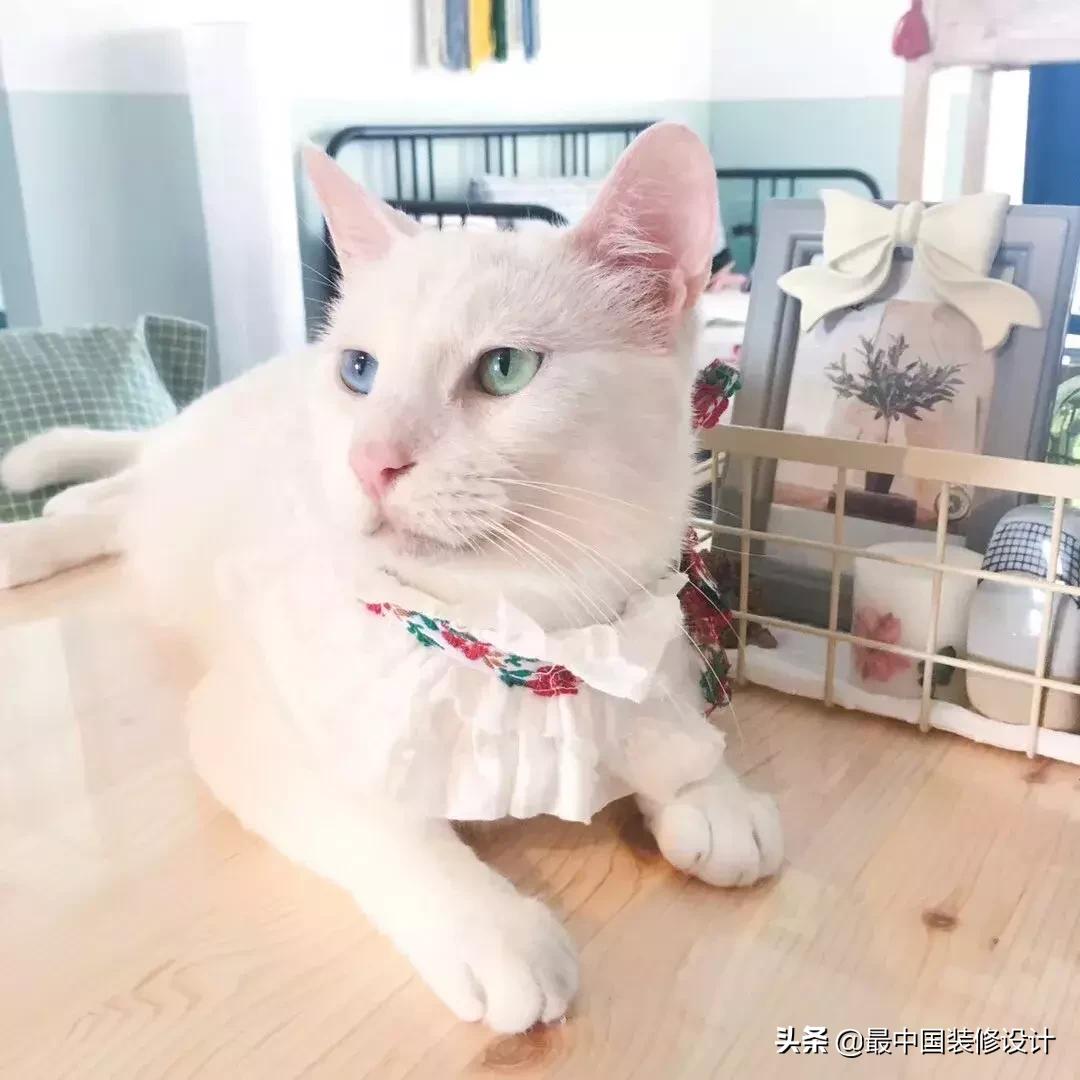 硬装只花5万多,硬装只花10万装出来的家