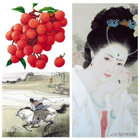 「杨玉环」唐诗中的杨玉环与唐代兴衰