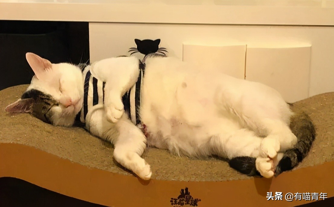 24岁男子喜当爹去派出所,90后男子相亲被误当爹