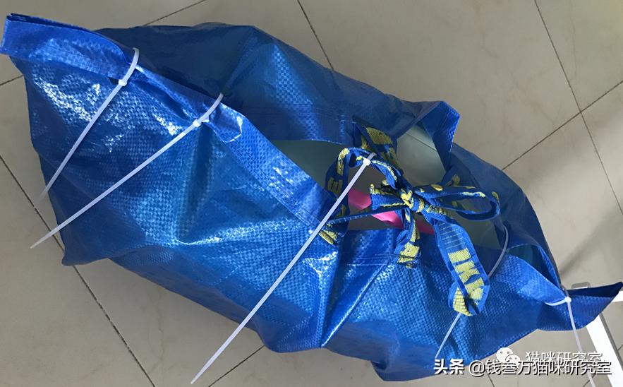 给大家介绍宠物托运的全过程,找托运宠物公司托运宠物注意什么