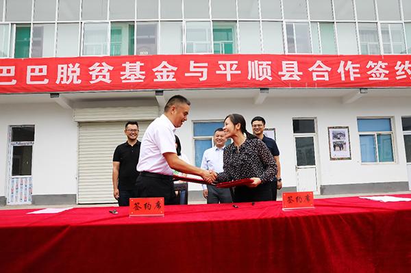 学直播、当网红、种沙棘……山西平顺来了阿里脱贫特派员