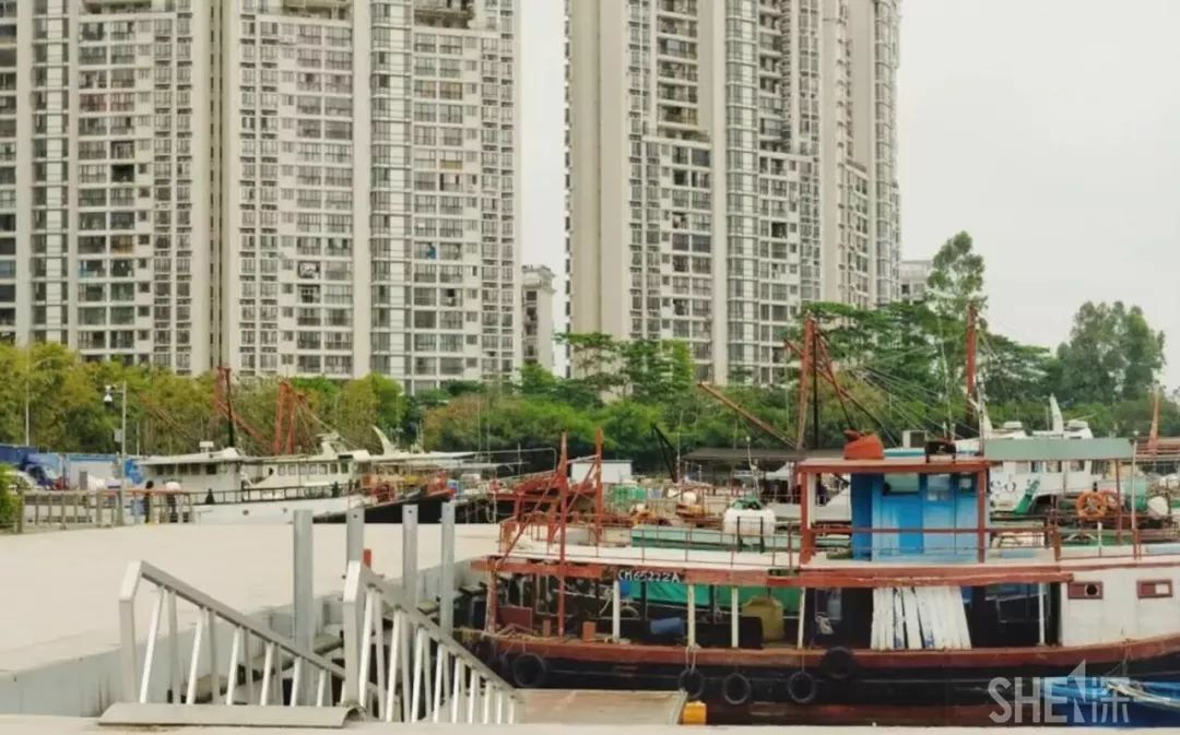 深圳蛇口前世今生,深圳蛇口有怎样的辉煌历史