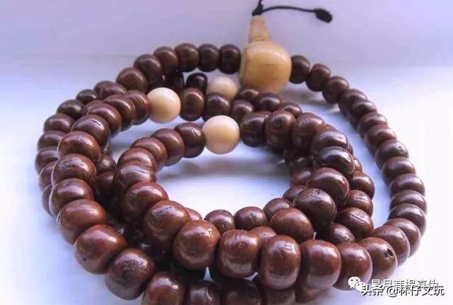 凤眼菩提视频教程,凤眼菩提介绍视频