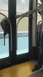 搞笑鸡下蛋恶搞图片,鸡图搞笑图片