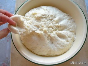 酵母泡打粉苏打粉发面的区别,酵母泡打粉和小苏打和面视频