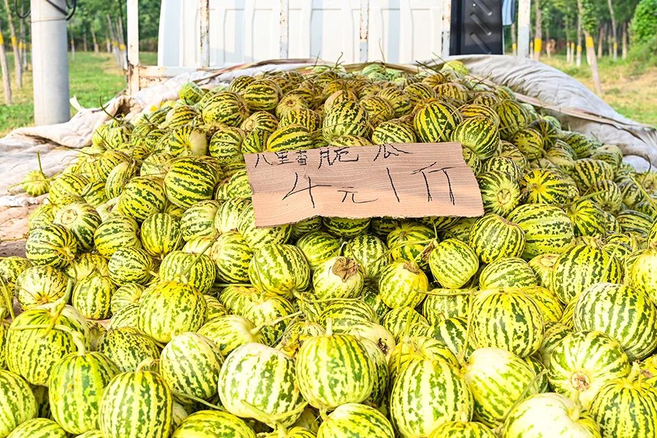 满满的烟火气逛大集真好玩,最值得逛的大集