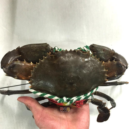 秘制香港避风塘炒蟹绝招,香港正宗避风塘炒蟹做法