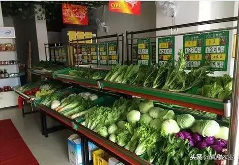 蔬菜行业套路多,种植户、批发商与零售商,哪个环节最容易赚钱